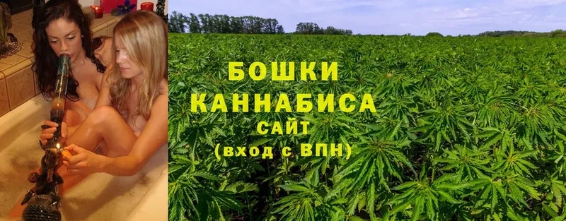 наркошоп  Шуя  Канабис White Widow 